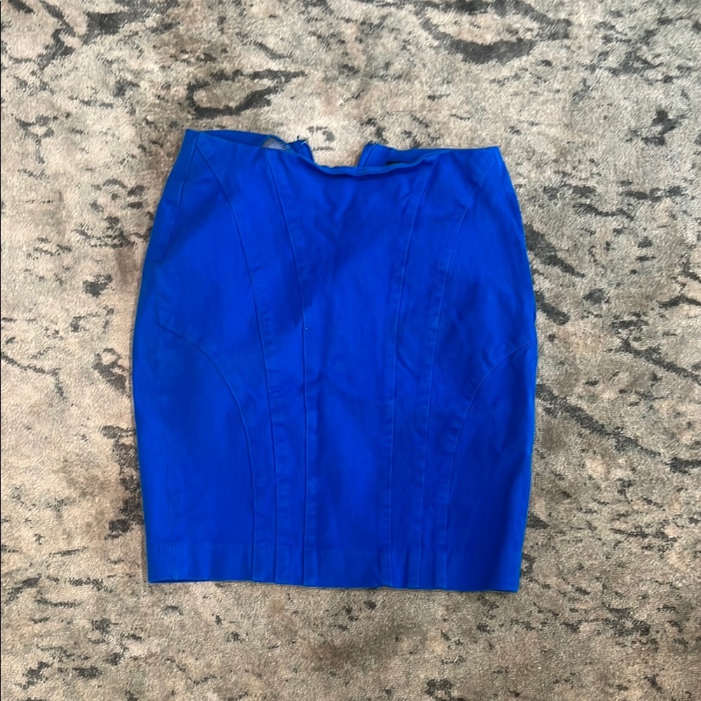 Elegant Blue Women's Skirt